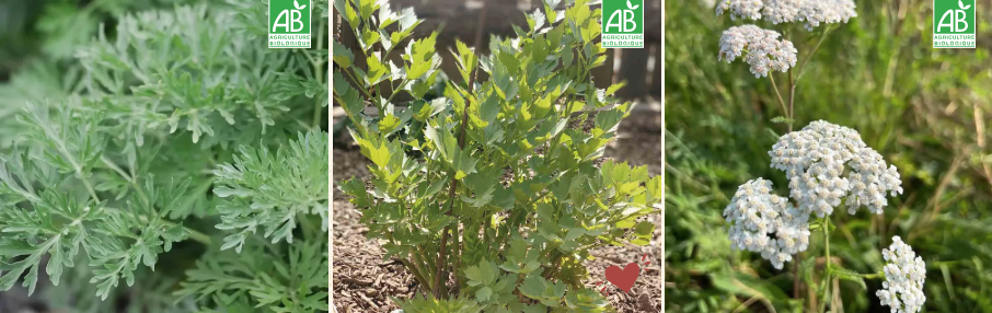 Capture decran 2026 04 09 a 06.14.32