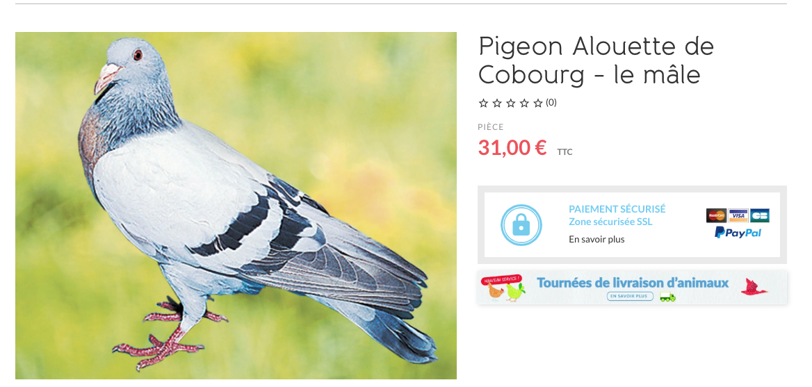 Capture decran 2026 04 09 a 06.23.52