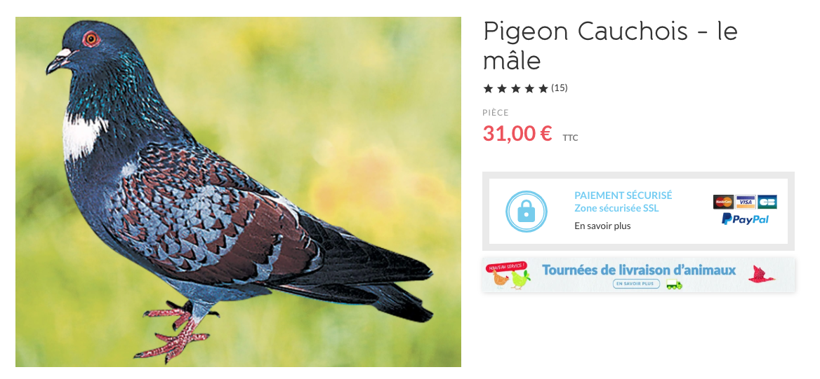 Capture decran 2026 04 09 a 06.29.30