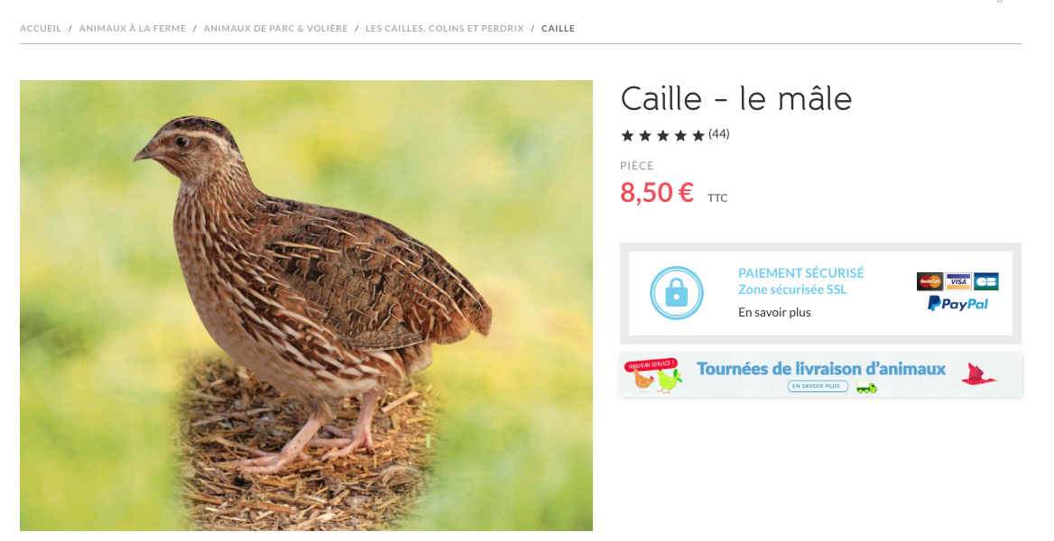 Capture decran 2026 04 09 a 06.37.27