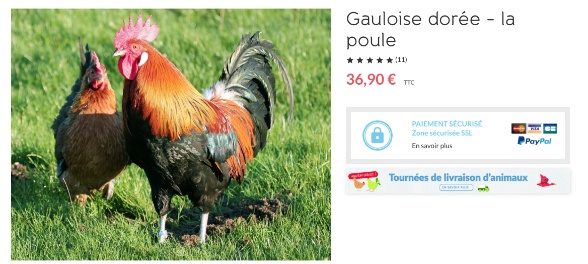 Capture decran 2026 04 09 a 07.07.32