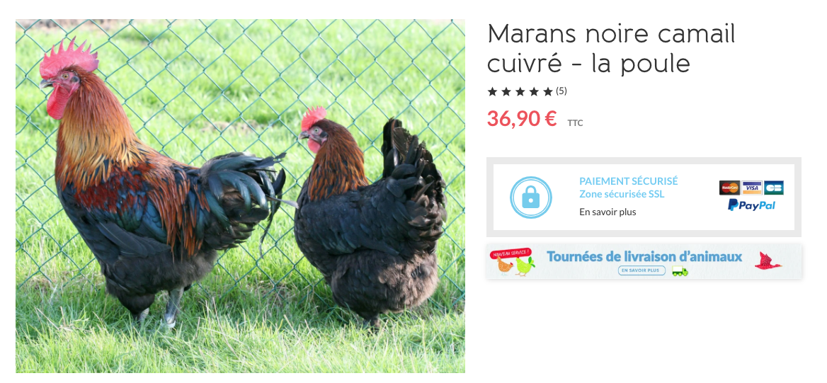 Capture decran 2026 04 09 a 07.14.37