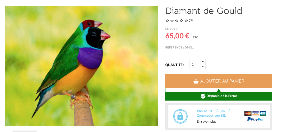 Capture decran 2026 04 09 a 07.31.30