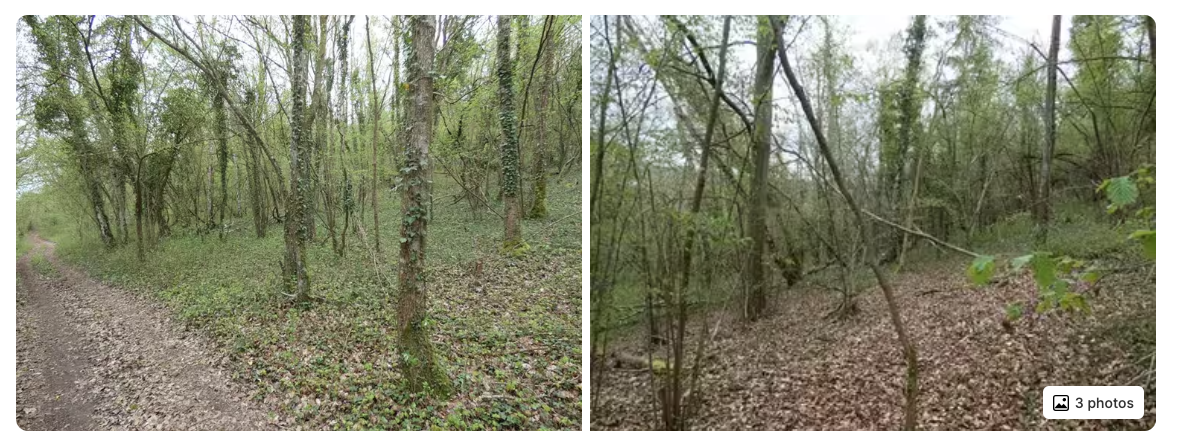 Capture decran 2026 04 09 a 08.11.16