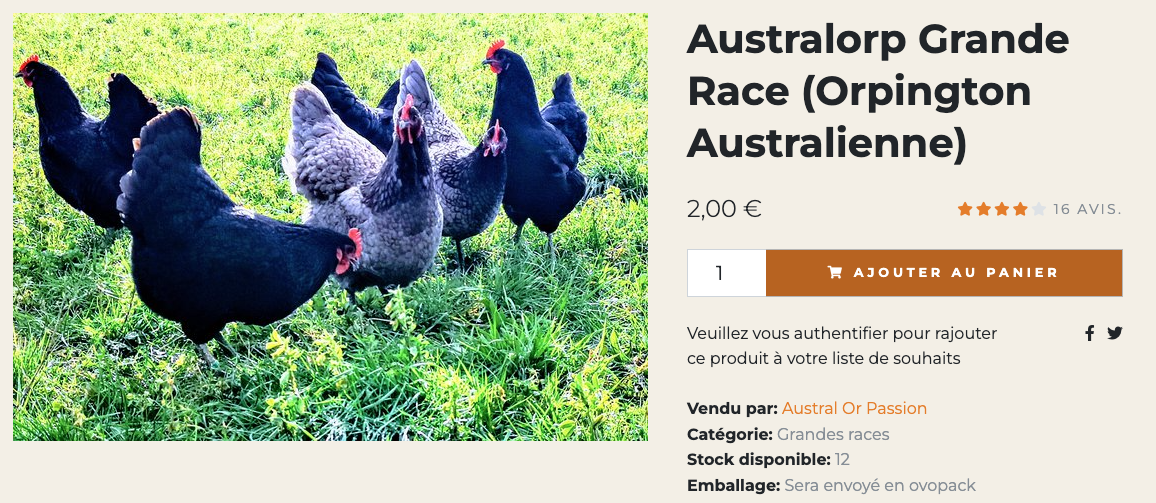 Capture decran 2026 04 11 a 06.06.02