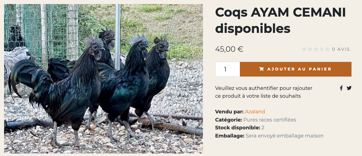 Capture decran 2026 04 11 a 06.13.19