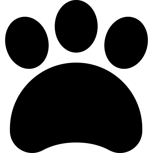 footprint 2408994